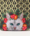 WHITE CAT