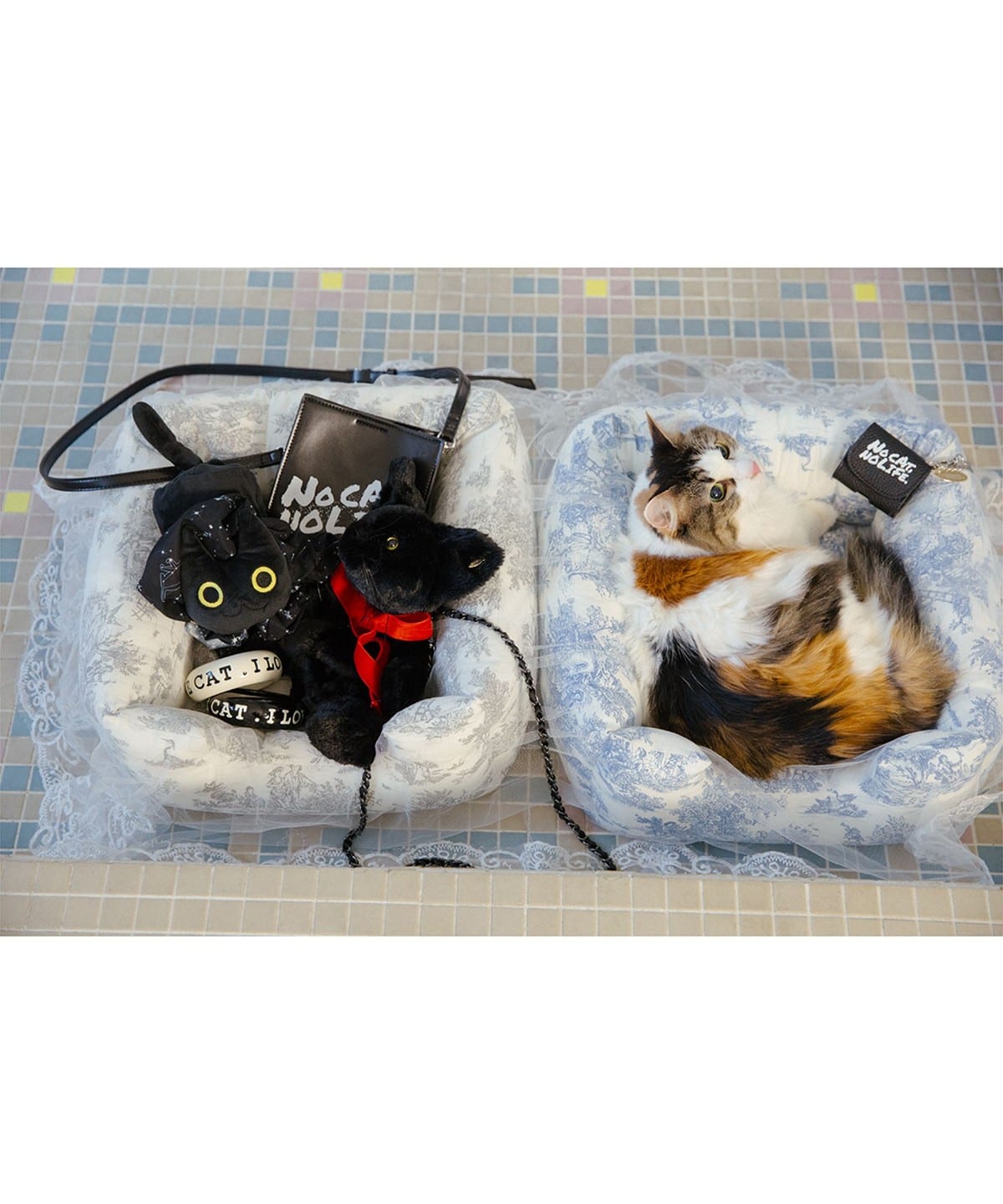 mmts（マミタス）【別注】momo cats nine / 猫ベッド（雑貨・ホビー