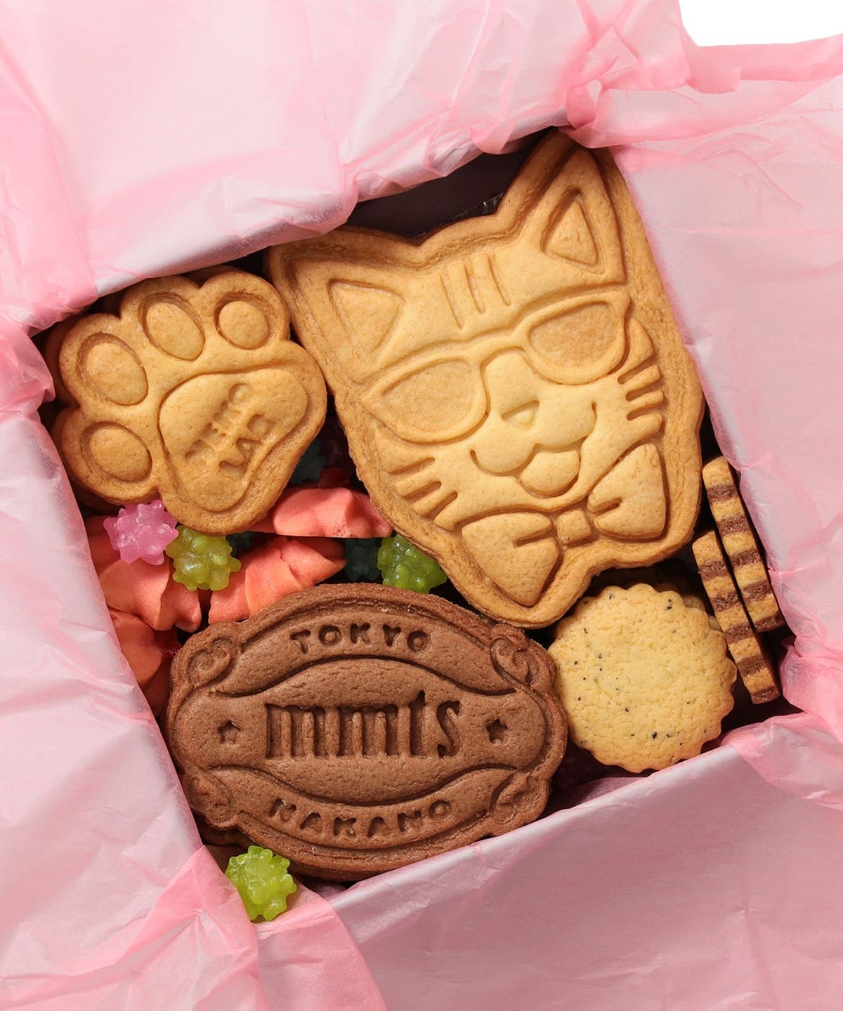 mmts（マミタス）【別注】NEKOLAB / クッキーM（食器・キッチン・食品