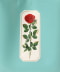 MINT.GRN