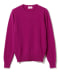 PLUM/358