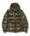 OLIVE/833