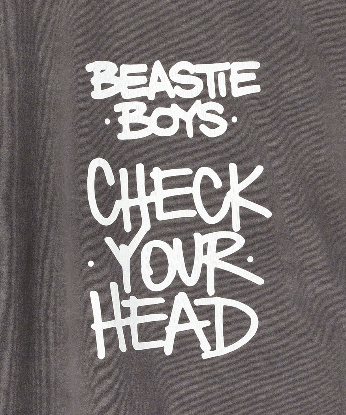 Insonnia Projects / BEASTIE BOYS プリントTシャツ CYH