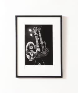 rockarchive / Led Zeppelin Photo by Michael Putland A3サイズ