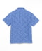 BLUE/2
