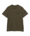 OLIVE/893