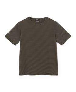 アルビニ マイクロ ボーダーTシャツ