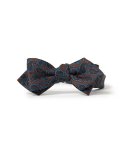 Silk Paisley Print Bow Tie