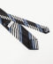 NAVY/C