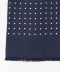 NAVYxWHITE