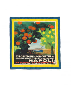 ▲Spacca neapolis / AGRICOLTURA ポケットチーフ