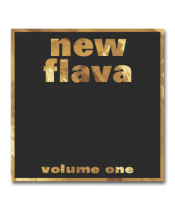 【2LP】V.A. / New Flava Vol.1 ＜NBN＞
