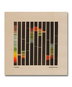 【トランスペアレント・オレンジ・ヴァイナル仕様LP】In The Pines / Painting By Numbers〈Soulstep Records〉
