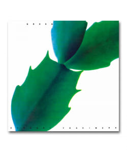 【クリア・グリーンヴァイナル仕様LP】Hiroshi Yoshimura / GREEN〈Light In The Attic〉