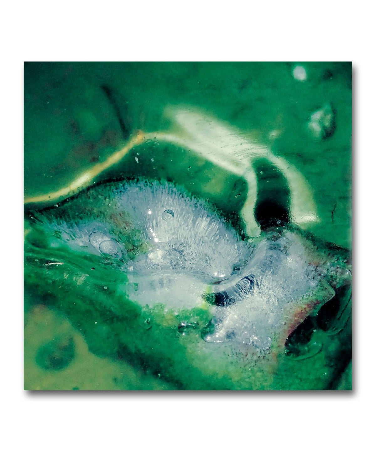 【LP】Tristan Arp / A Pool, A Portal〈Wisdom Teeth〉 音楽・本 MEN RECORD ONE SIZE 【LP】Tristan Arp / A Pool, A Portal〈Wisdom Teeth〉 音楽・本 MEN RECORD ONE SIZE