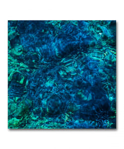 【LP】青葉市子 / Luminescent Creatures〈hermine〉