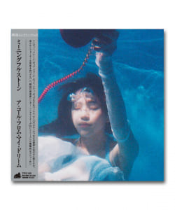 【LP】Meaningful Stone / A Call From My Dream〈Think! Records〉