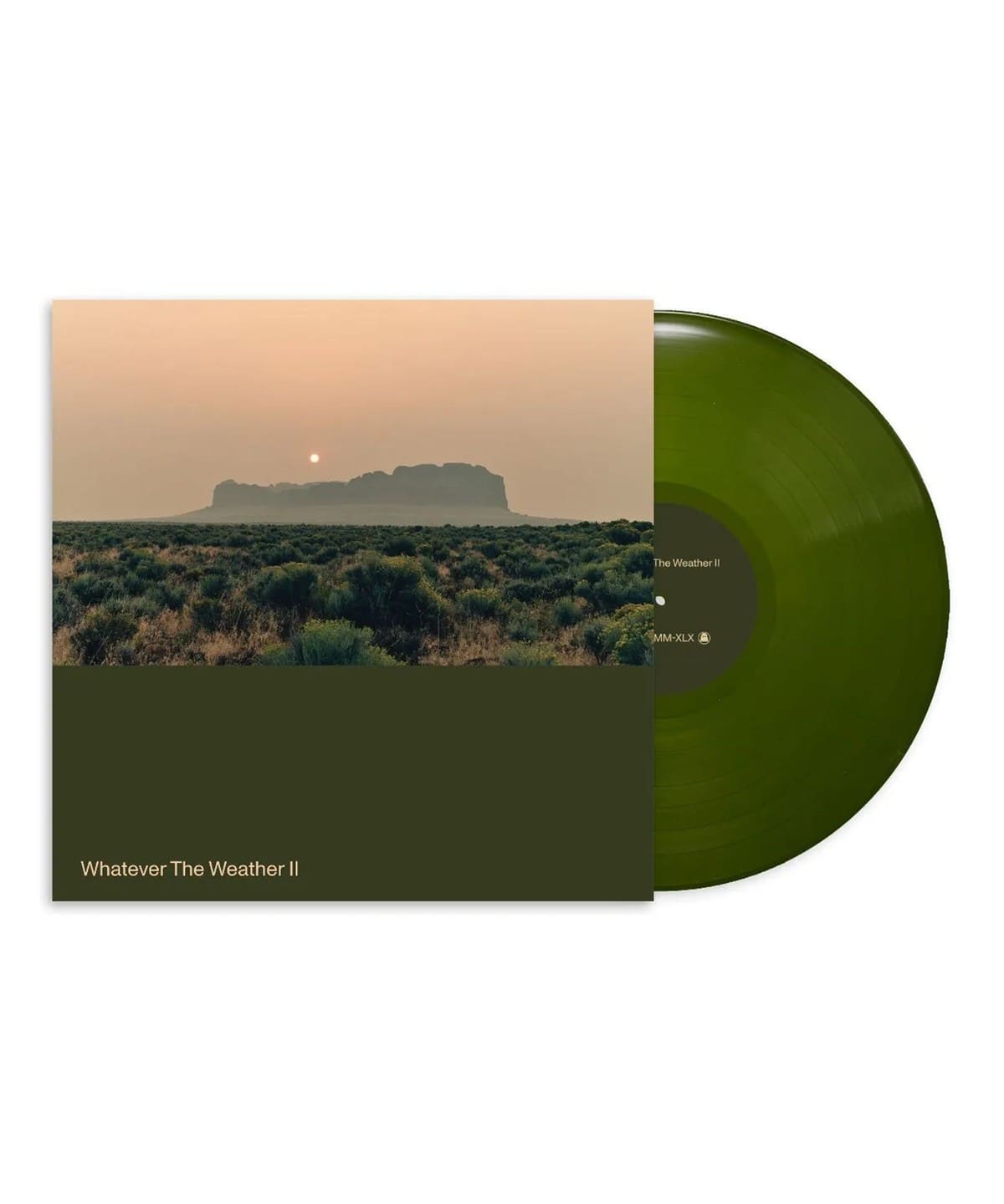【ダーク・グリーンヴァイナル仕様LP】Whatever The Weather / Whatever The Weather II〈Ghostly Inernational〉 音楽・本 MEN RECORD ONE SIZE 【ダーク・グリーンヴァイナル仕様LP】Whatever The Weather / Whatever The Weather II〈Ghostly Inernational〉 音楽・本 MEN RECORD ONE SIZE