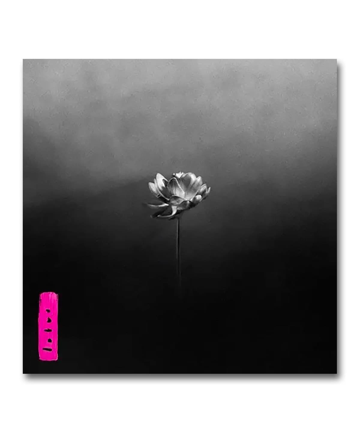 【180g重量盤仕様LP】Little Simz / Lotus〈Awal〉 音楽・本 MEN RECORD ONE SIZE 【180g重量盤仕様LP】Little Simz / Lotus〈Awal〉 音楽・本 MEN RECORD ONE SIZE