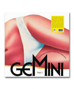 【LP】Toshikatsu Uchimi / Gemi & The Cimarons〈Survival Research〉