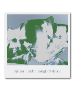【LP】Djrum / Under Tangled Silence〈Houndstooth〉