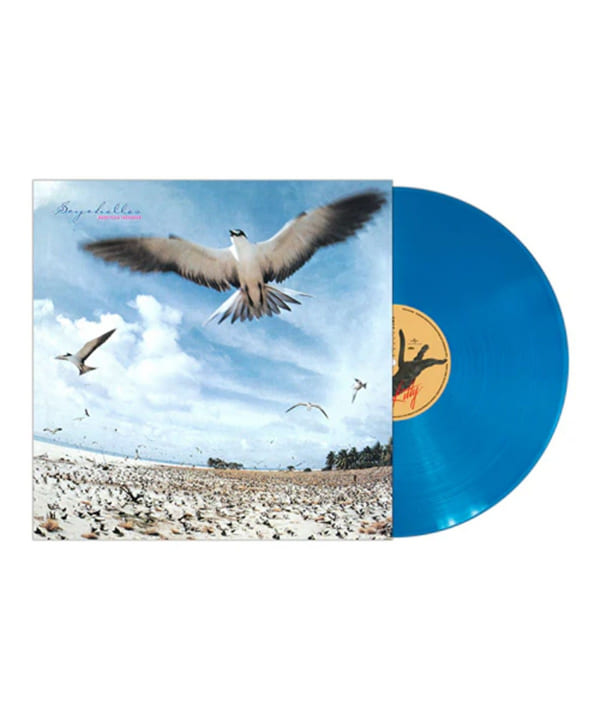 イエス帯び付きLP COCONUTS DISK WEBSTORE / Disco / Dance Classic