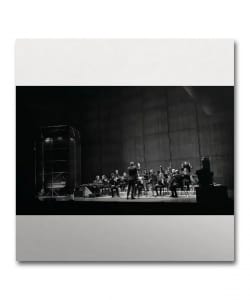 【LP】Jameszoo / Music for 17 Musicians〈Brainfeeder〉
