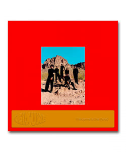 【限定カラー・ヴァイナル仕様LP】Leisure / Welcome To The Mood〈Inpartmaint / Nettwerk Records〉