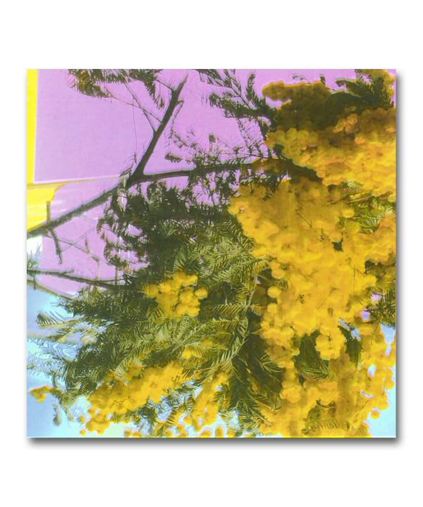 BEAMS RECORDS（ビームス レコーズ）【12