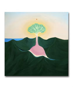 【LP】Evisbeats / 翠点〈Amida Studio〉