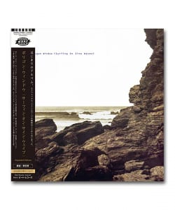 【3LP】Polygon Window / Surfing On Sine Waves (Expanded Edition)〈Warp / Beat Records〉