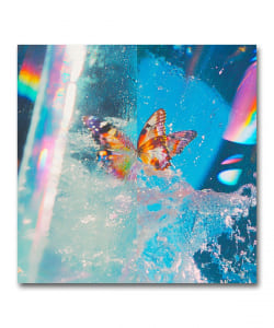 【限定・オペークピンク・ヴァイナル仕様2LP】Daphni / Butterfly〈Jiaolong〉