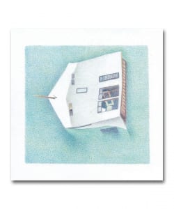 【LP】Danny Scott Lane / House Of Alice〈Records We Release Records〉