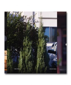 【限定・カラー・ヴァイナル仕様・2LP】Shinichi Atobe / Silent Way〈Plastic & Sounds | Awdr/Lr2〉
