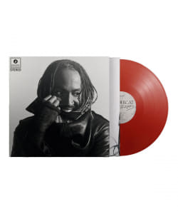 【レッド・ヴァイナル仕様LP】Thundercat / Distracted〈Beat Records / Brainfeeder〉