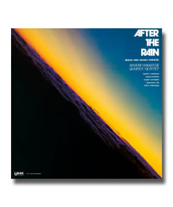 【LP】山口真文 / After The Rain〈テイチクエンタテインメント〉
