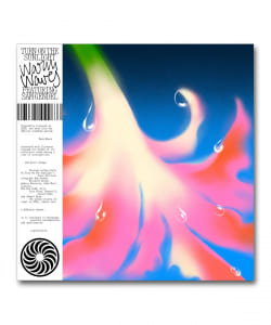 【LP】Turn On The Sunlight Feat. Sam Gendel / Warm Waves〈Tokonoma Records〉
