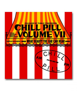 V.A. / Chill Pill Volume 7 〈Public Possession〉