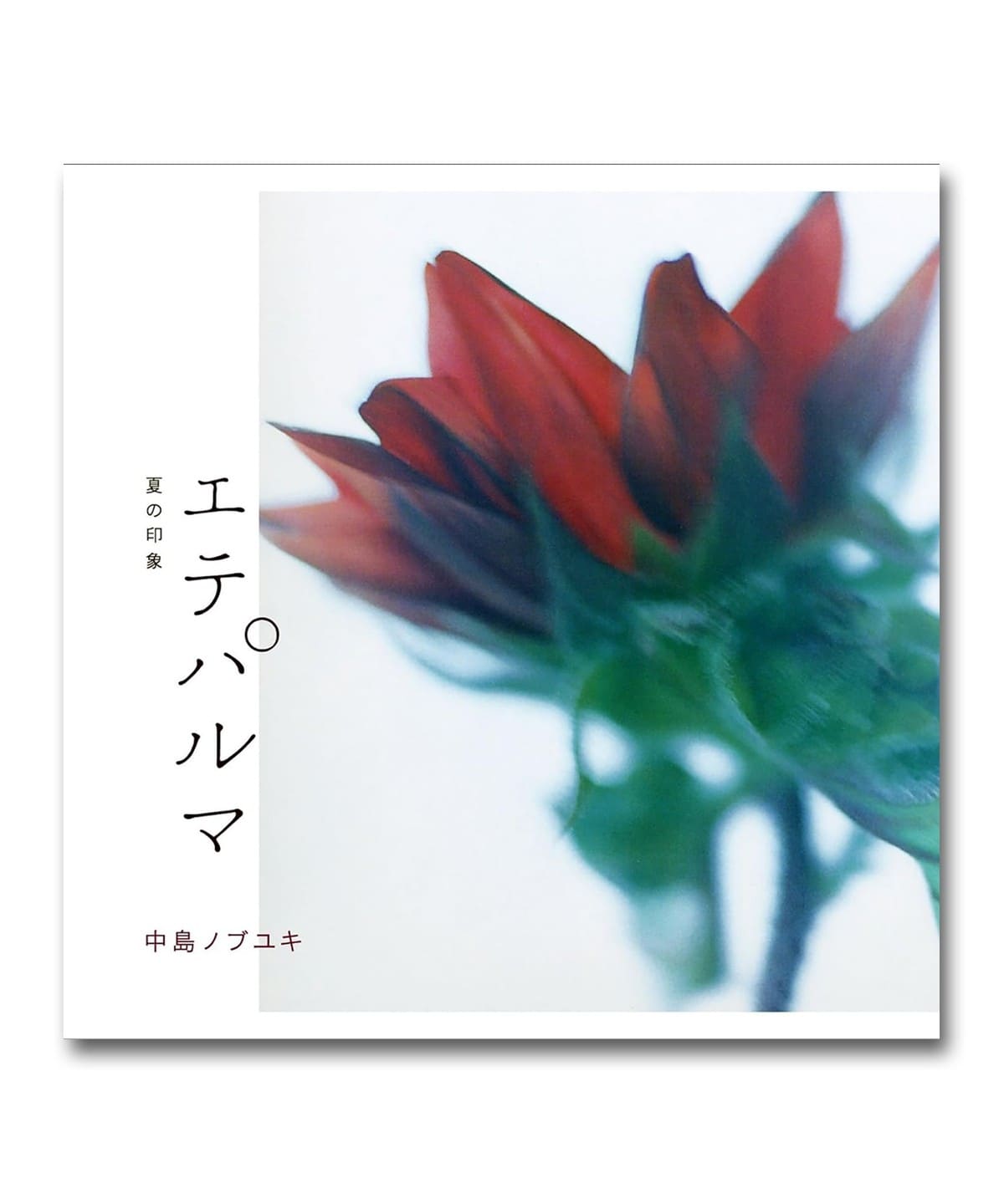 中島ノブユキ / エテパルマ〈Ewe Records〉 音楽・本 MEN CD ONE SIZE 中島ノブユキ / エテパルマ〈Ewe Records〉 音楽・本 MEN CD ONE SIZE