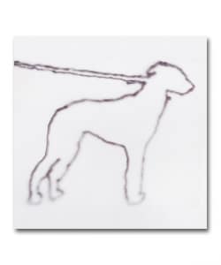 Jonah Yano / Portrait of a Dog ＜Rambling RECORDS＞