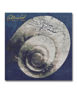 【国内盤CD】Snail Mail / Ricochet〈Beat Records / Matador〉