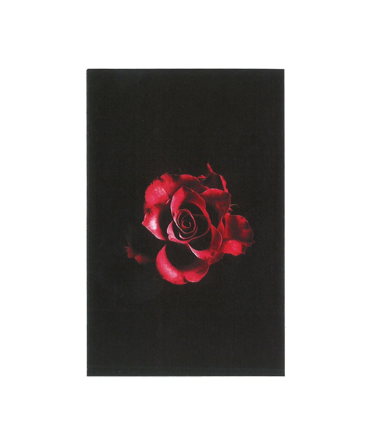 【CASSETTE】XL Middleton / For The Rose〈Mofunk Records〉 音楽・本 MEN CASSETTE ONE SIZE 【CASSETTE】XL Middleton / For The Rose〈Mofunk Records〉 音楽・本 MEN CASSETTE ONE SIZE