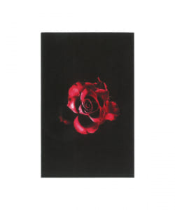 【CASSETTE】XL Middleton / For The Rose〈Mofunk Records〉