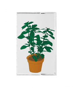 【CASSETTE】Salamanda / Music To Watch Seeds Grow By 008: Salamanda (Basil)〈Music To Watch Seeds Grow By〉
