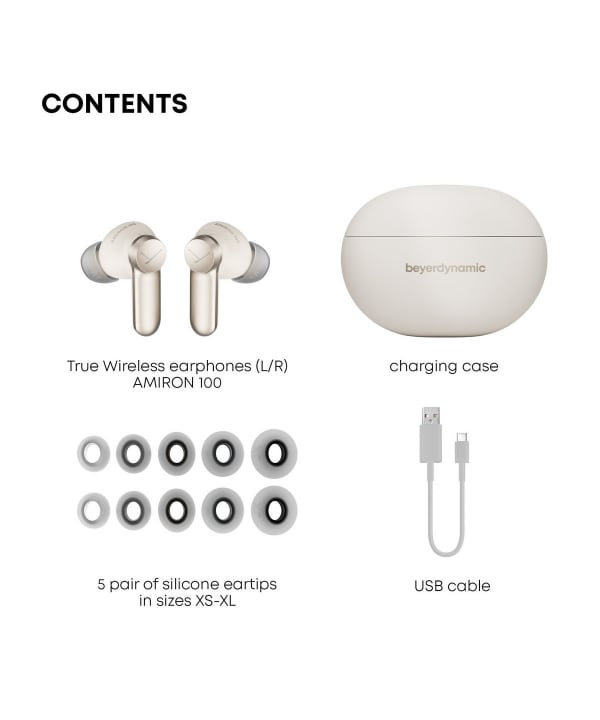 beyerdynamic / AMIRON 100