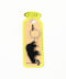 BEAR BLACK