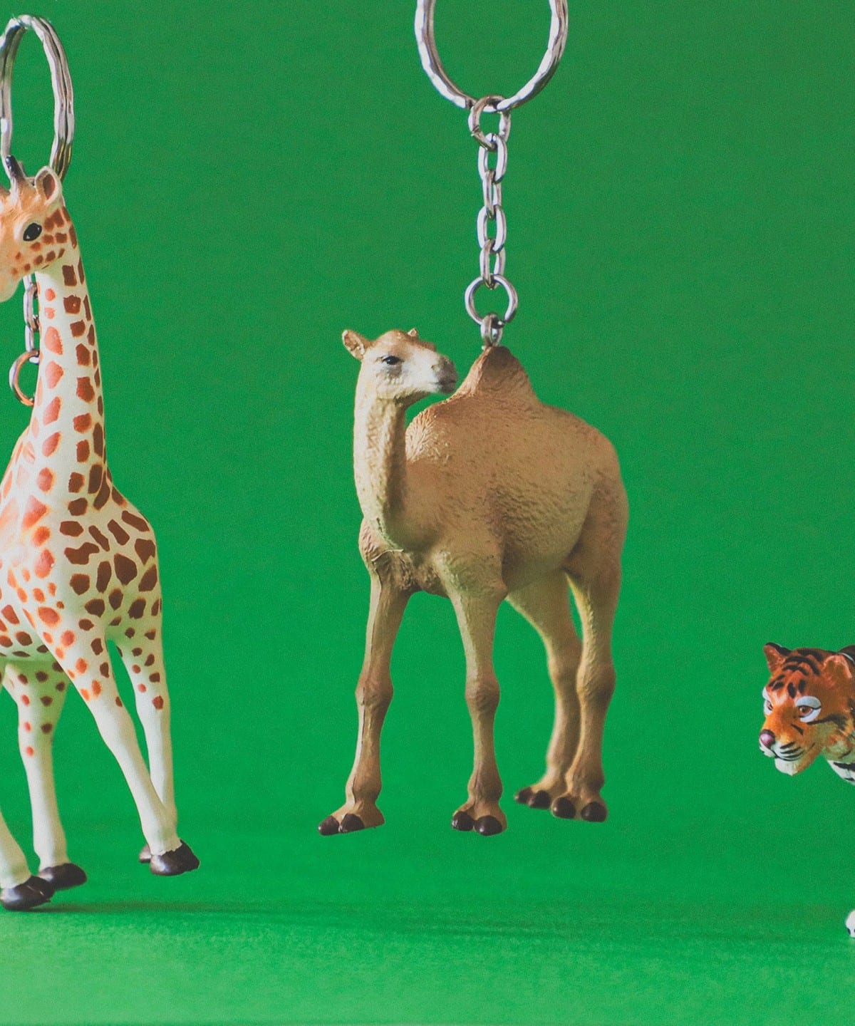 Science and Nature / Animal Keyring 財布・小物 MEN CAMEL ONE SIZE Science and Nature / Animal Keyring 財布・小物 MEN CAMEL ONE SIZE