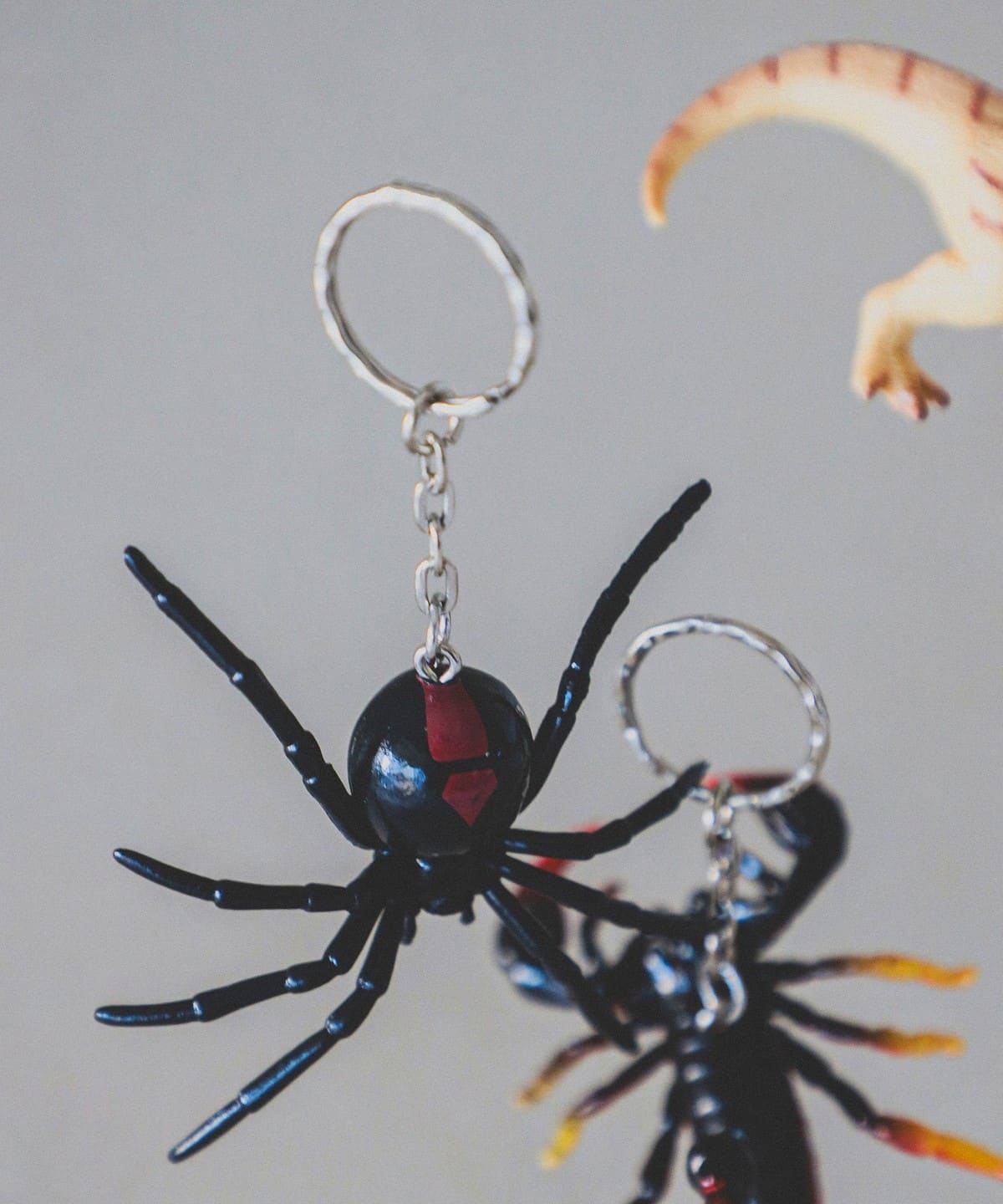 Science and Nature / Animal Keyring 財布・小物 MEN REDBACK SPIDER ONE SIZE Science and Nature / Animal Keyring 財布・小物 MEN REDBACK SPIDER ONE SIZE