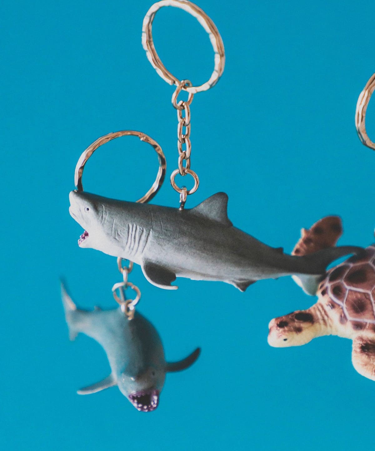 Science and Nature / Animal Keyring 財布・小物 MEN SHARK ONE SIZE Science and Nature / Animal Keyring 財布・小物 MEN SHARK ONE SIZE
