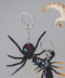 REDBACK SPIDER